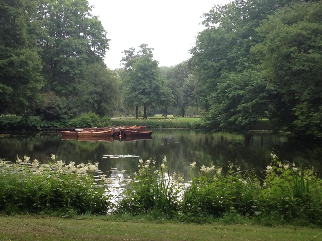 Bürgerpark Bremen in der Nähe der Wohnung
